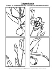 Tulpen-Puzzle.pdf